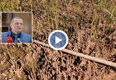 Източването на водата разкри множество тръби от близки къщи бълващи