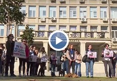 Поводът е бруталното прегазване на кучето Мая в столичния квартал