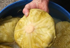 Процесът на ферментация превръща зелето в склад от витамини и