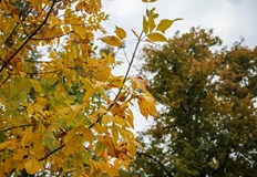 Поривите ще достигат 90 км ч утре рязко застудяване и сняг