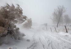 Великобритания се готви за арктически студ и снягСеверозападна Европа и