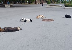 Валийството налага строги мерки за безопасност край училища и болници