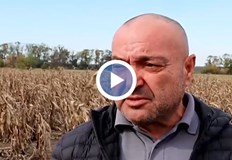 Дори там където има реколта тя е под критичния минимумСушата