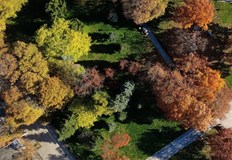 Проектът включва засаждане на над 2000 дървета и иновативни зелени