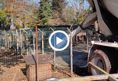 В момента тече и акция за събиране на дарения за