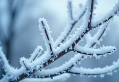 Арктически въздушни маси носят мразовити нощи и условия за поледици