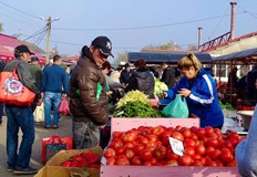 Фериботната връзка е удобна алтернатива на Дунав мостЖителите на Свищов