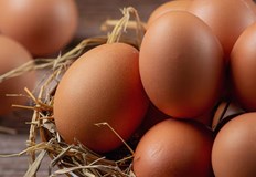 Данните от Антиспекула показват ръст от 20 стотинкиЦената на яйцата