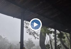 Бурята затвори летището в Дарвин жителите опразниха магазините от страхМощен