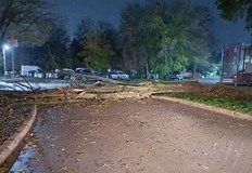 Това е втори инцидент на същото мястоПаднало дърво затруднява движението