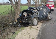 Шофьорът загина на място при удара в дървоВтора жертва взе