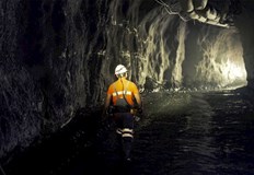 Дейвид Рей Открихме злато с концентрация 13 грама на тонКанадската