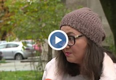 Стрелят по домашни кучета в няколко села в РусенскоБезразборна стрелба