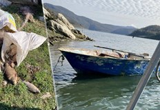 Нарушителите изоставиха лодка и 35 килограма рибаИнспектори от ИАРА –