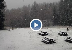 Камерите показват бяла покривка в районите над 1400 метраСнегът се