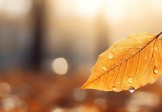 Температурите падат с 10 градуса след топлото начало в понеделникСлед