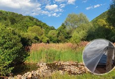 Частен съдебен изпълнител от Русе разкри че срещу него са