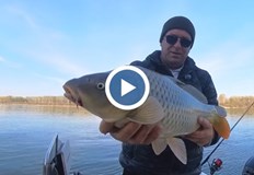 Русенски рибар показа нови техники за дунавски шараниРусенският рибар любител Теодор