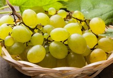 Плодът на лозата забавя стареенето и намалява риска от деменция