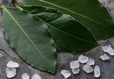 Ароматната подправка е богата на витамини А C и B6