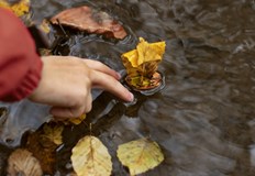 Сиромашкото лято приключваВремето в неделя 2 ноември остава топло и