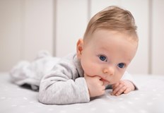 Лекари и адвокати са ръководили престъпната мрежа с печалба над