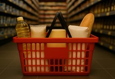 80 фирми искат да се включат в проекта на Делян