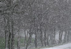 В България застудяването ще е по слабо и без съществена снежна