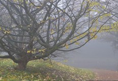 Слънцето ще се покаже в почти цялата страна но в