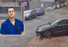 ВМА отстрани от работа лекаря прегазил кучето Мая в СофияЛекарят