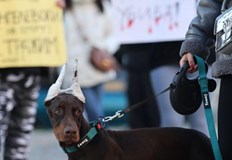 Протестиращи поискаха справедливост за убитото куче МаяГраждани се събраха на