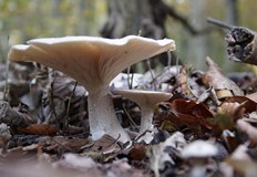 Метеоролозите очакват минимални температури до минус 1 градус След топлия