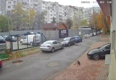 Полицията все още проверява информацията дали 29 годишният мъж е лекар