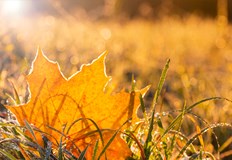 Слънцето се показва във вторник преди циклон да удари БългарияВремето