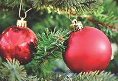 Очаква ни дъждовна Коледа вместо сняг астрономическата зима настъпва на