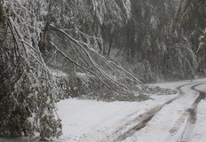 Към момента температурата в курорта е минус 2 градусаОблачно и