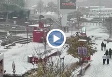 Канадският град се събуди с бяла покривкаНай големият канадски град Торонто