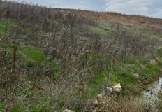 Съоръжението от 36 декара е рекултивирано предстои 30 годишен мониторингДепото за