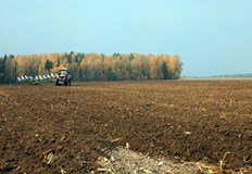 Средният наем в Русенско достигна 72 лева за декарБалчик изпревари