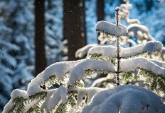 Синоптиците прогнозират динамичен месец с температурни инверсии и шанс за