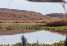 Община Силистра ще организира нов конкурс за графична идентичност на