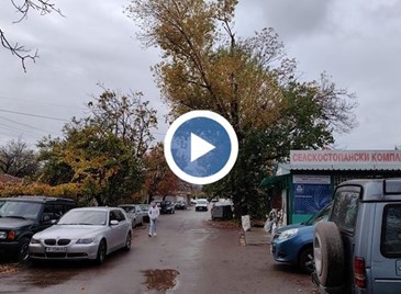 Опасна топола при Кооперативния пазар в Русе чака реакция над година