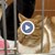 Спасени котки търсят дом чрез изложба в Русе