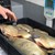 Започват масирани проверки за качеството на рибата в Русе