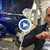 Бивш шеф на "Автомагистрали" е помлял шестте коли в София