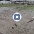Земеделци губят поминъка си след водното бедствие в Ново Делчево