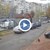 Шофьор прегази куче в София
