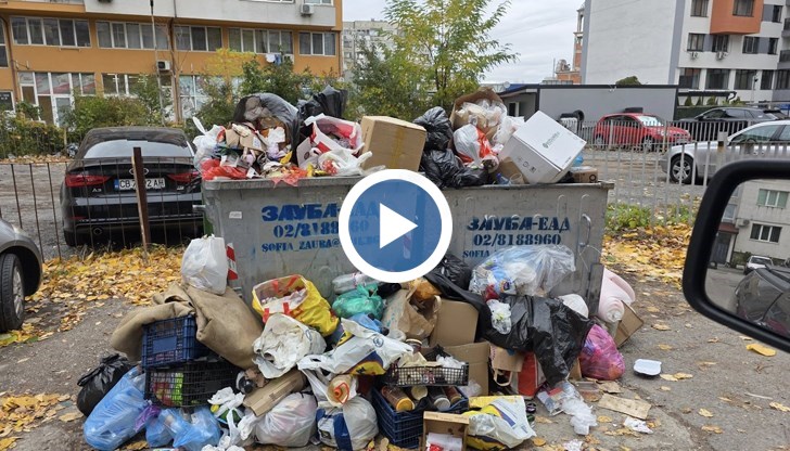 Доброволци в София събират боклука вместо "Екобулпак"