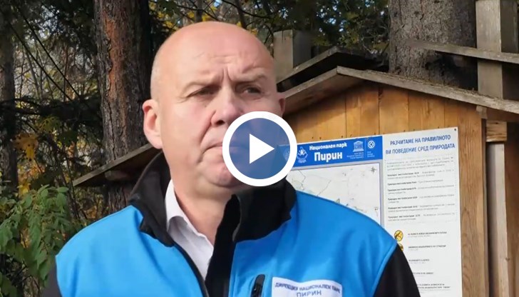 Мъжът се е държал агресивно с парковата охрана