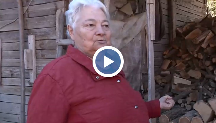 Цените на дървата в Монтанско удариха 170 лева за кубик